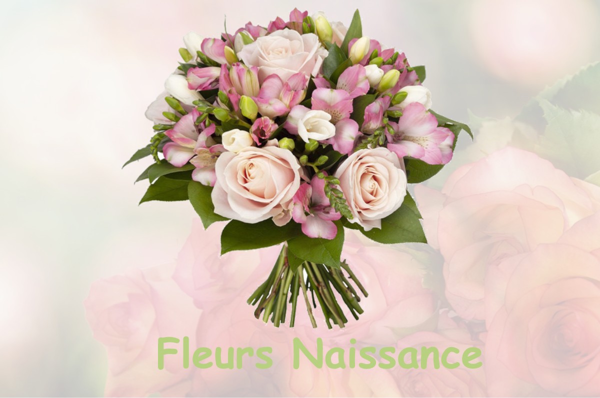 fleurs naissance SAINTE-FOY-L-ARGENTIERE